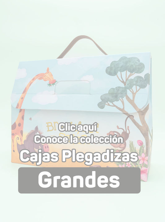 Cajas Plegadizas Grandes