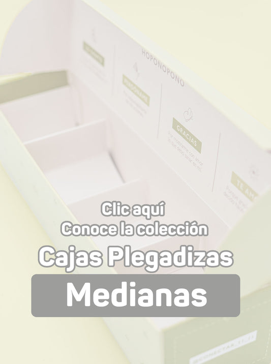 Cajas Plegadizas Medianas